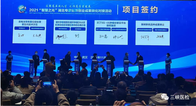 圖片11
